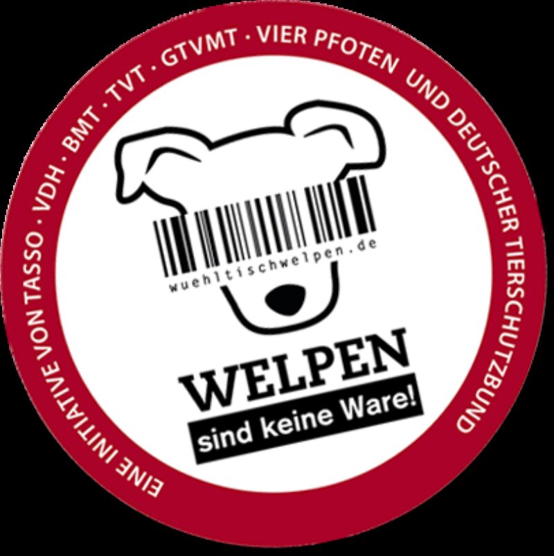 Welpensind