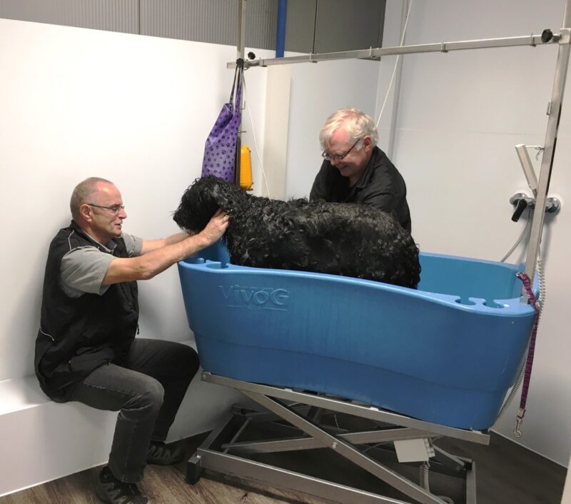 Hundezuchter Winfried Beyer Mit Bouvier Des Flandres Hundin Ika Und Hundefrisor Norbert Jager Von Links Nach Rechts Foto Von Mouhcine El Ghomri 3