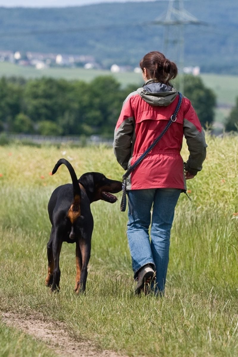 Vera Spaziergang