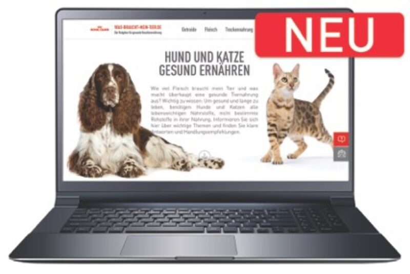 Pressebild was-braucht-mein tier.de 08 2015 ©Royal-Canin