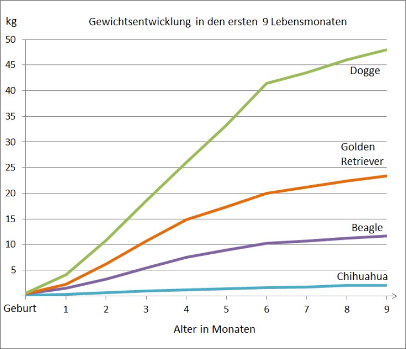 Wachstumskurven Welpen erste 9 Monate