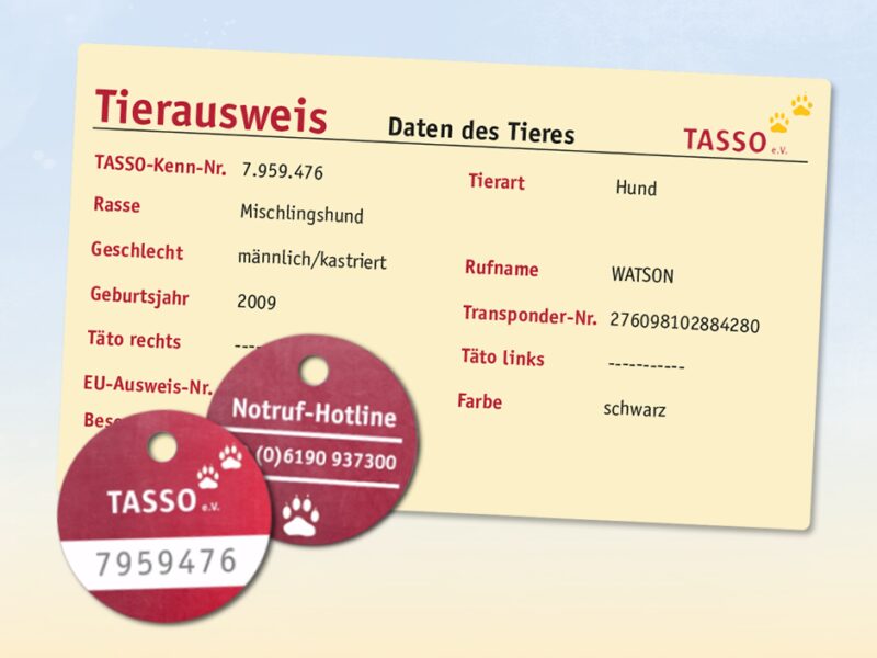 TASSO prinzip tasso plakette und tasso tierausweis