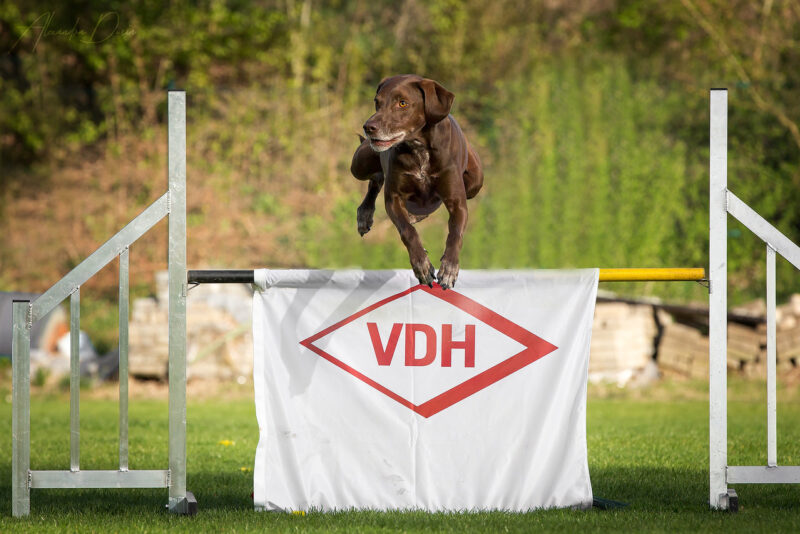 Vd H Sandhausen