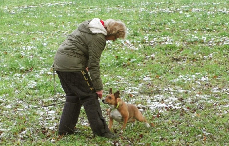 Heben12 Andy Training Mit Schutzhose