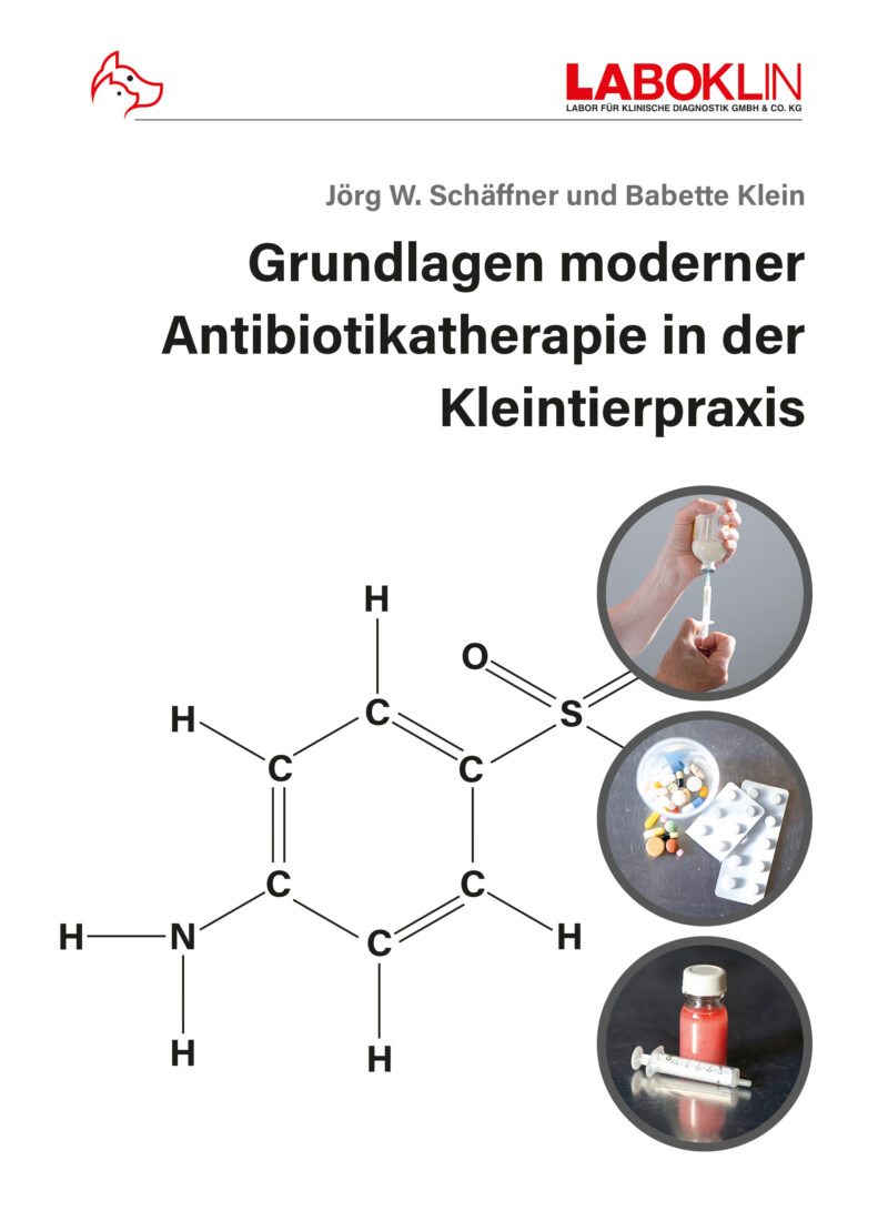 Antibiotikatherapie COVER Front