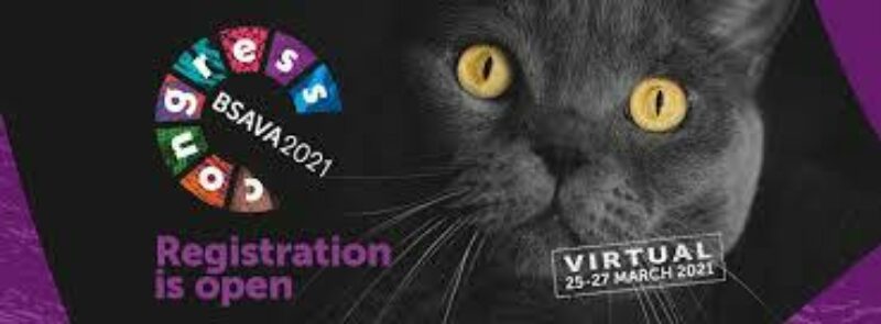 BSAVA Congress 2021 cat