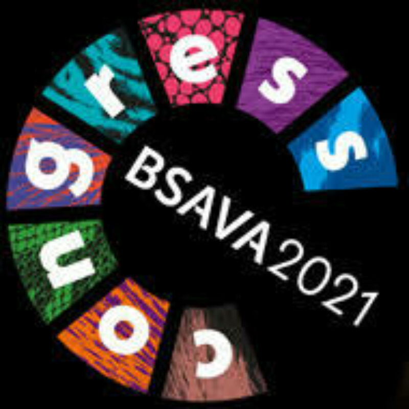 BSAVA2021 congresslogov black
