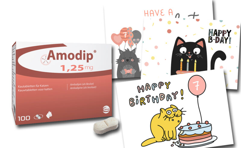F ceva Amodip Packshot und Geburtstagspostkarten