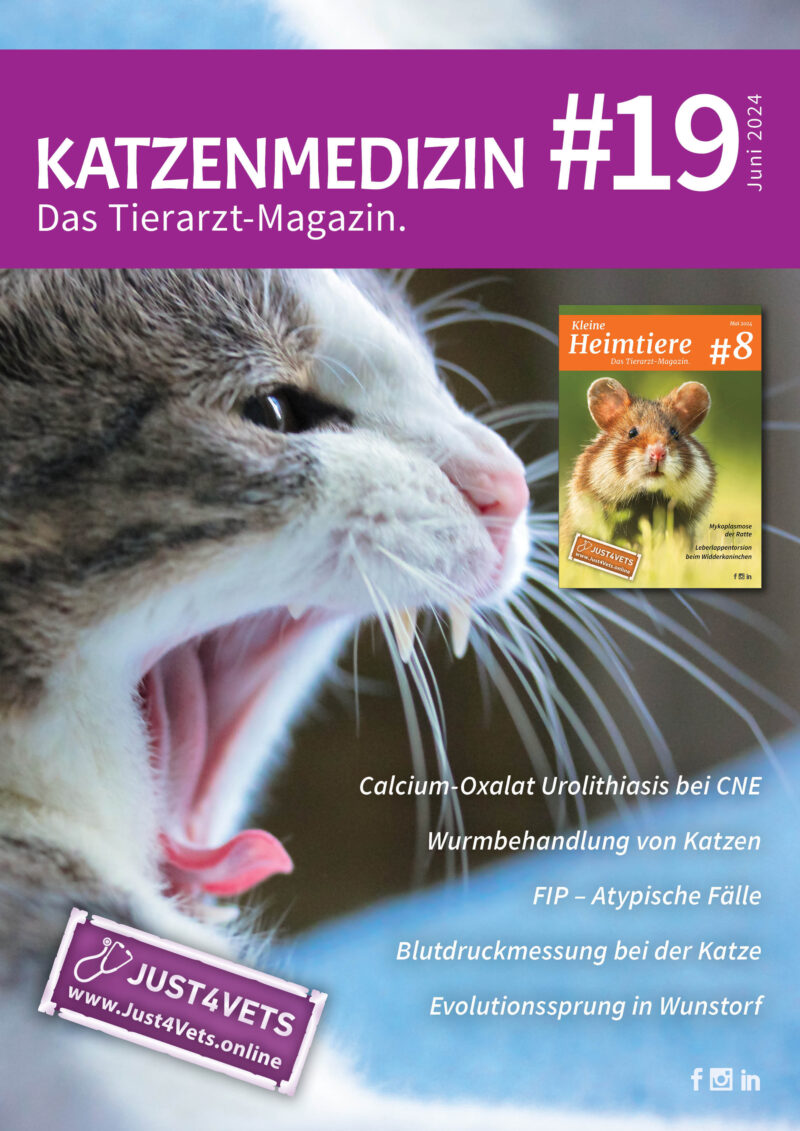 Titel Cats 19