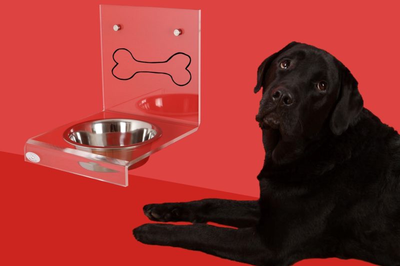 Dog bowl 2006373 1920