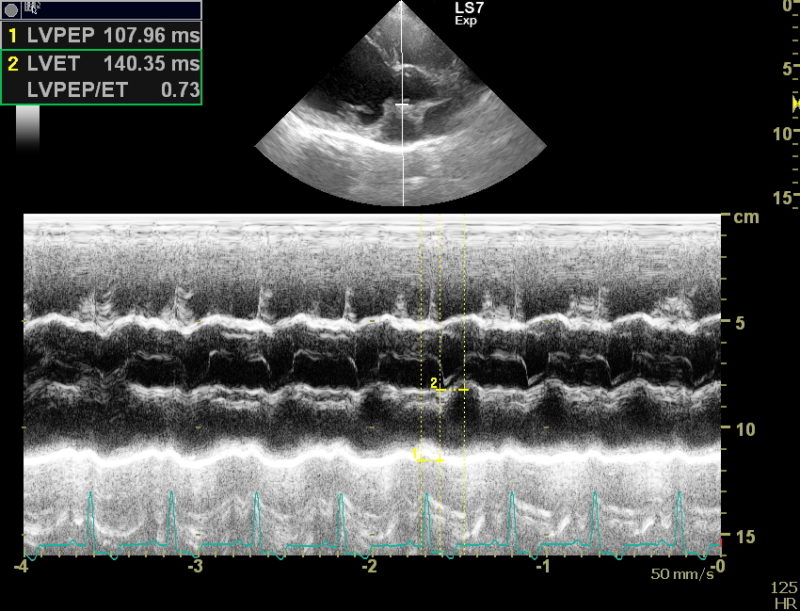 Koch2 Image03Faust01