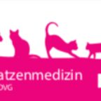 AG Katzenmedizin der DGK-DVG